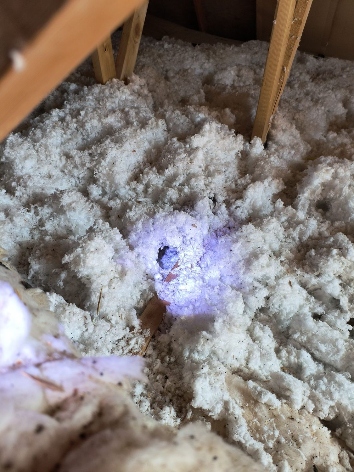 Blown-in attic insulation with runs and tunnels pushed through it, photographed by torchlight