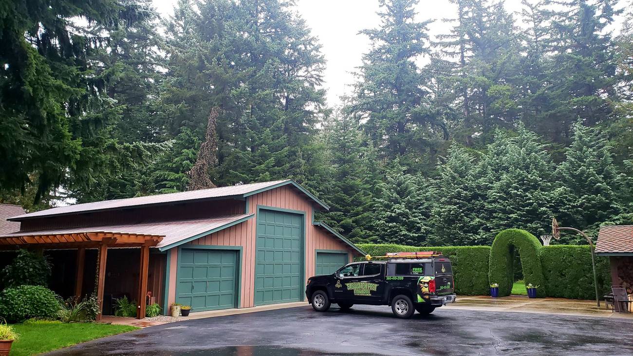 A wrapped service truck parked on a driveway beside a large detached garage with tall firs behind it