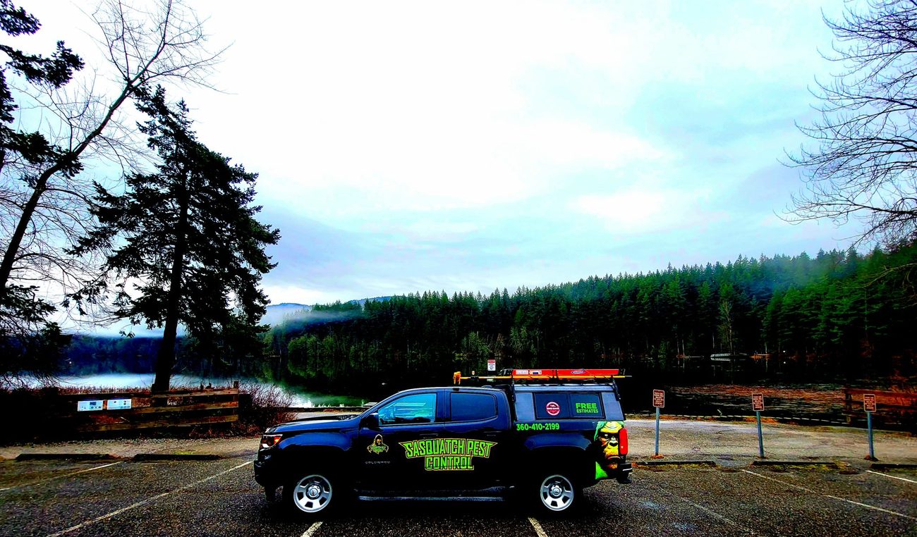 A wrapped service truck parked at a lakeside lot with forest and low cloud across the water