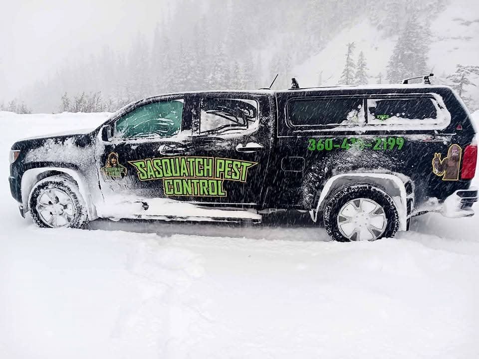 A wrapped Sasquatch Pest Control pickup truck parked in deep snow among evergreens during heavy snowfall at Mount Baker
