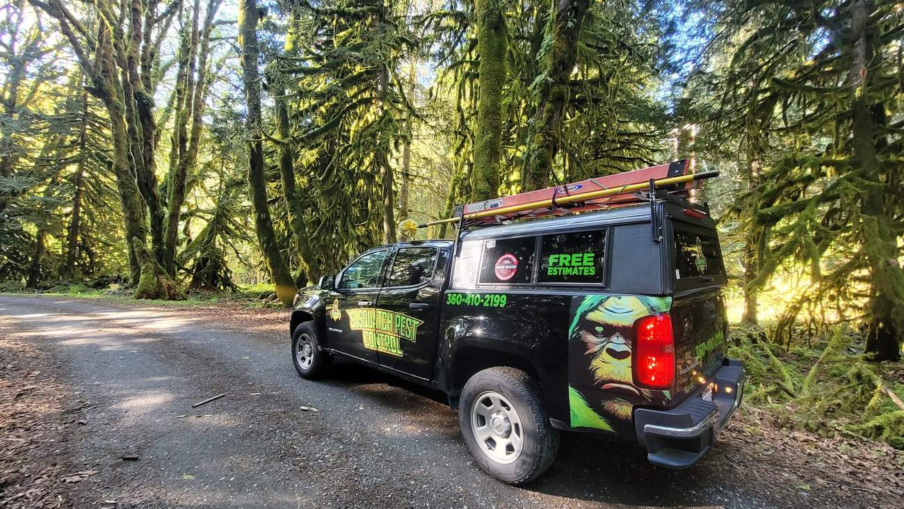 A wrapped service truck parked on a gravel road under tall moss-hung conifers